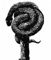 logo The Iniquity Descent logo The Iniquity Descent